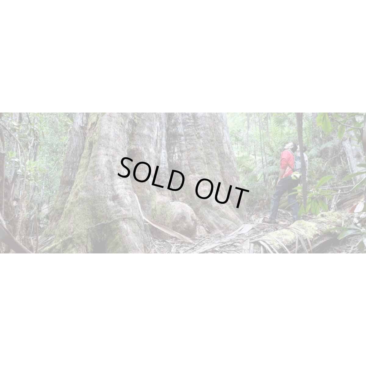 ※画像はイメージです。販売終了モデルや試作品、日本未導入品などが含まれていることがあります。画像内の製品・技術についての問い合わせは承りかねます。