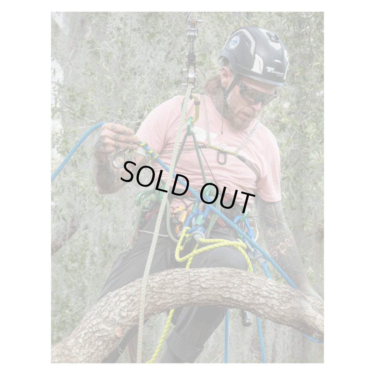 ※画像はイメージです。販売終了モデルや試作品、日本未導入品などが含まれていることがあります。画像内の製品・技術についての問い合わせは承りかねます。