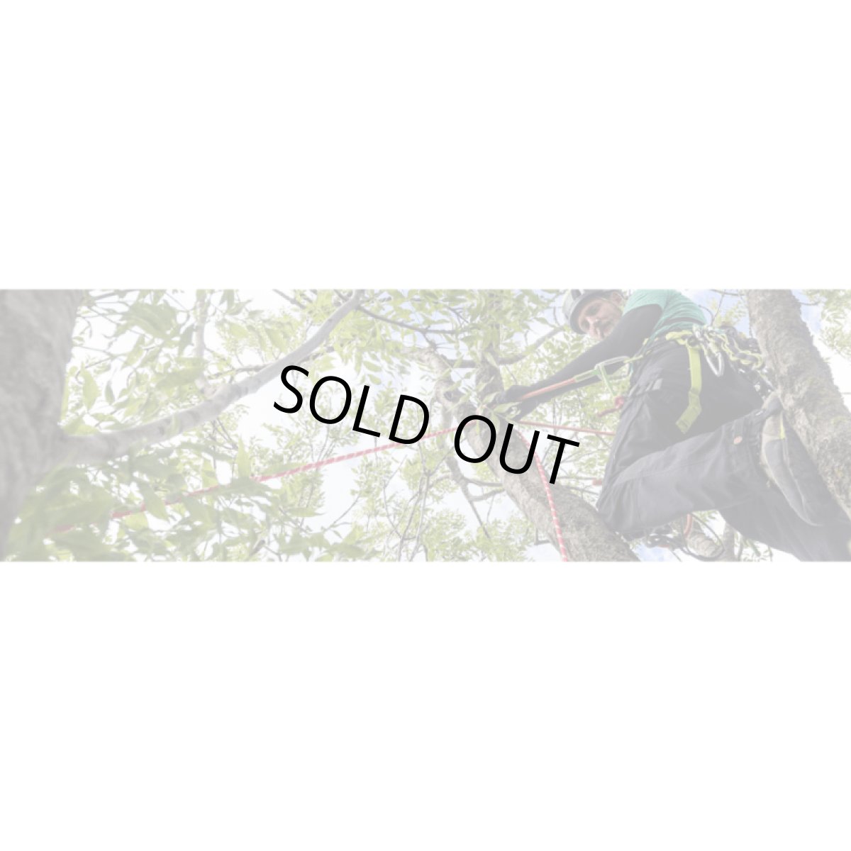 ※画像はイメージです。販売終了モデルや試作品、日本未導入品などが含まれていることがあります。画像内の製品・技術についての問い合わせは承りかねます。