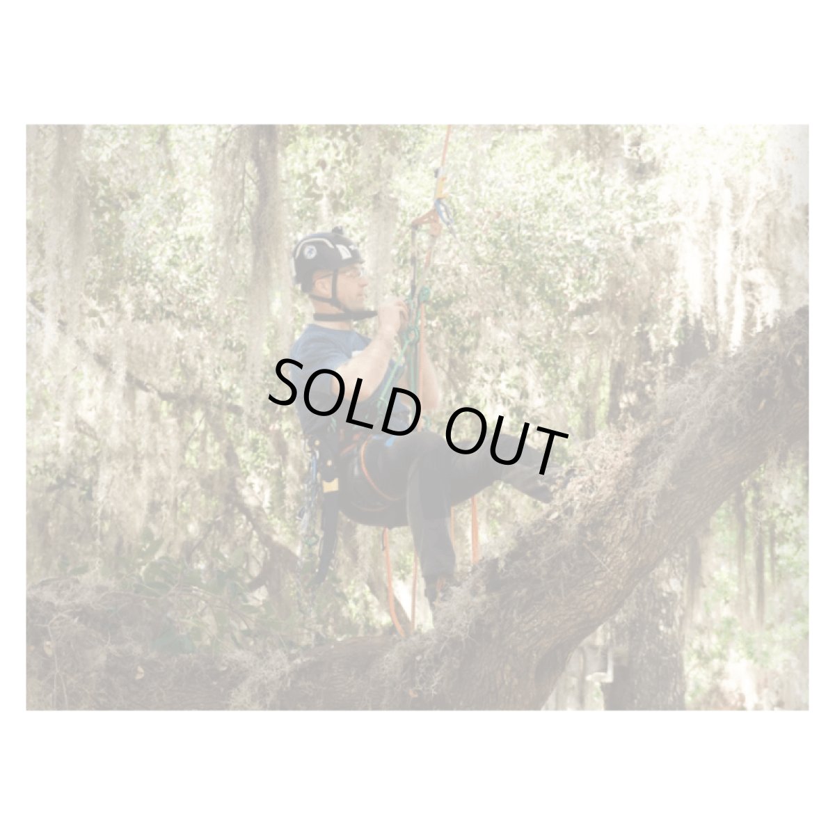 ※画像はイメージです。販売終了モデルや試作品、日本未導入品などが含まれていることがあります。画像内の製品・技術についての問い合わせは承りかねます。