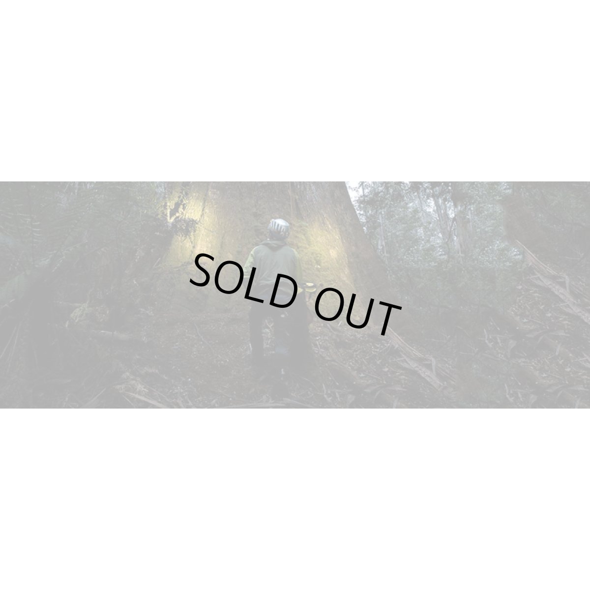 ※画像はイメージです。販売終了モデルや試作品、日本未導入品などが含まれていることがあります。画像内の製品・技術についての問い合わせは承りかねます。