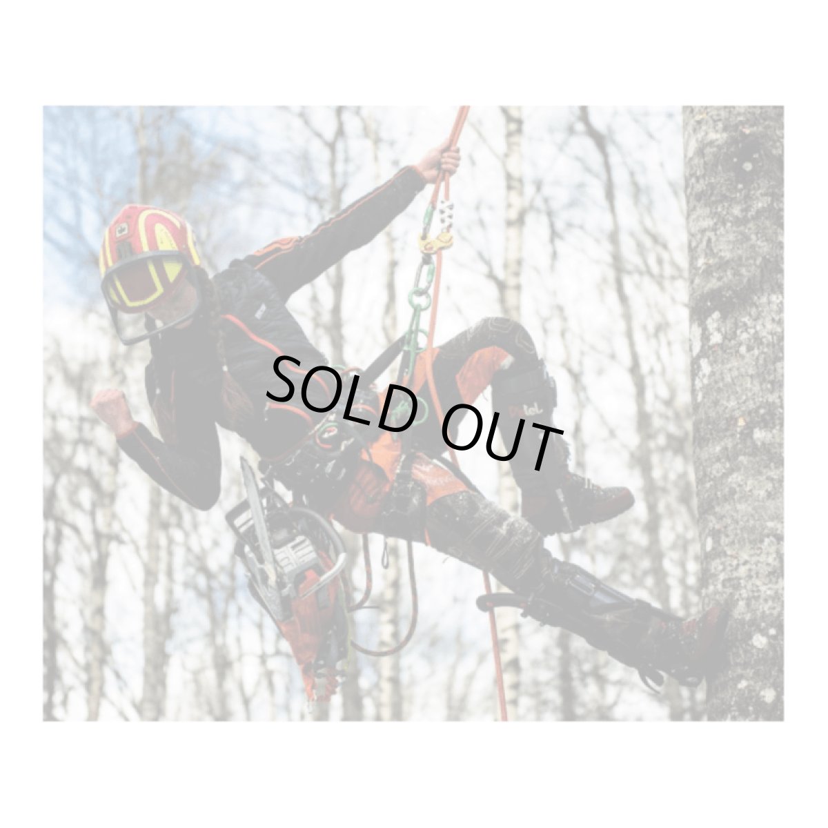 ※画像はイメージです。販売終了モデルや試作品、日本未導入品などが含まれていることがあります。画像内の製品・技術についての問い合わせは承りかねます。