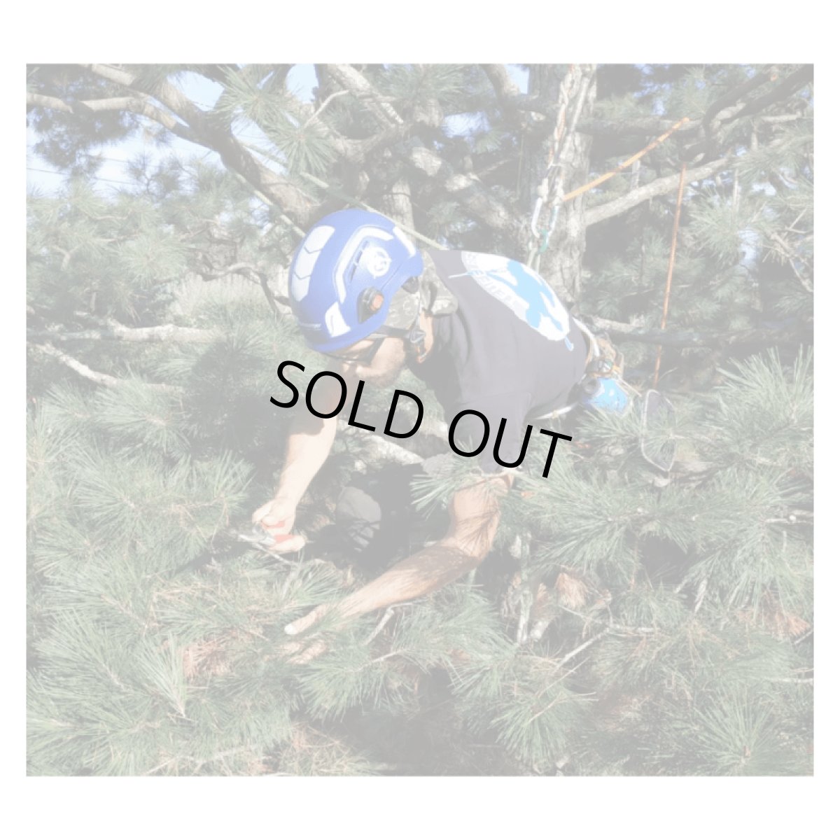 ※画像はイメージです。販売終了モデルや試作品、日本未導入品などが含まれていることがあります。画像内の製品・技術についての問い合わせは承りかねます。