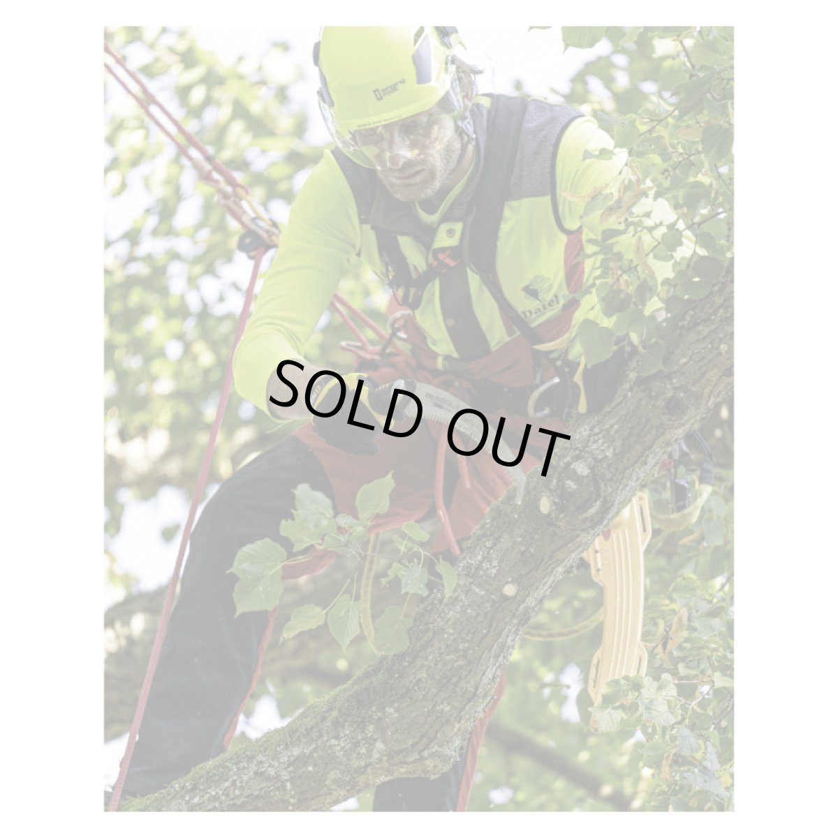 ※画像はイメージです。販売終了モデルや試作品、日本未導入品などが含まれていることがあります。画像内の製品・技術についての問い合わせは承りかねます。