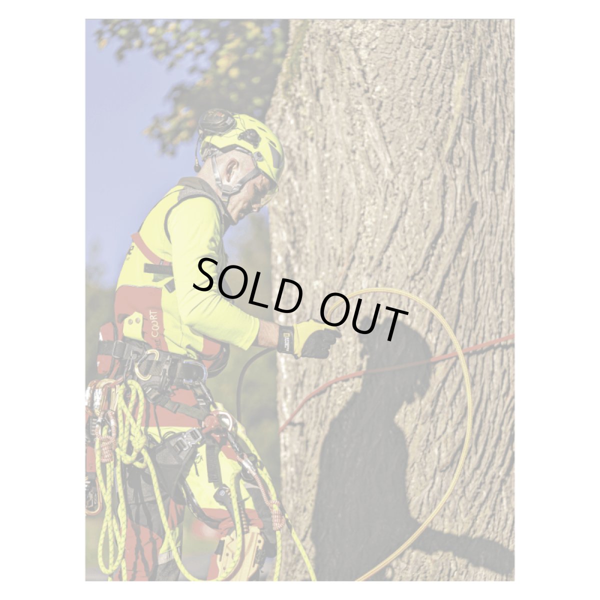 ※画像はイメージです。販売終了モデルや試作品、日本未導入品などが含まれていることがあります。画像内の製品・技術についての問い合わせは承りかねます。