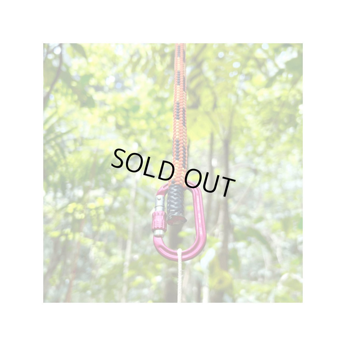 ※画像はイメージです。販売終了モデルや試作品、日本未導入品などが含まれていることがあります。画像内の製品・技術についての問い合わせは承りかねます。