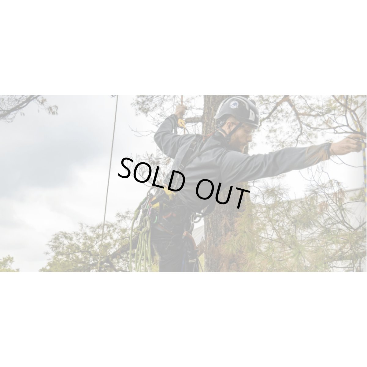 ※画像はイメージです。販売終了モデルや試作品、日本未導入品などが含まれていることがあります。画像内の製品・技術についての問い合わせは承りかねます。