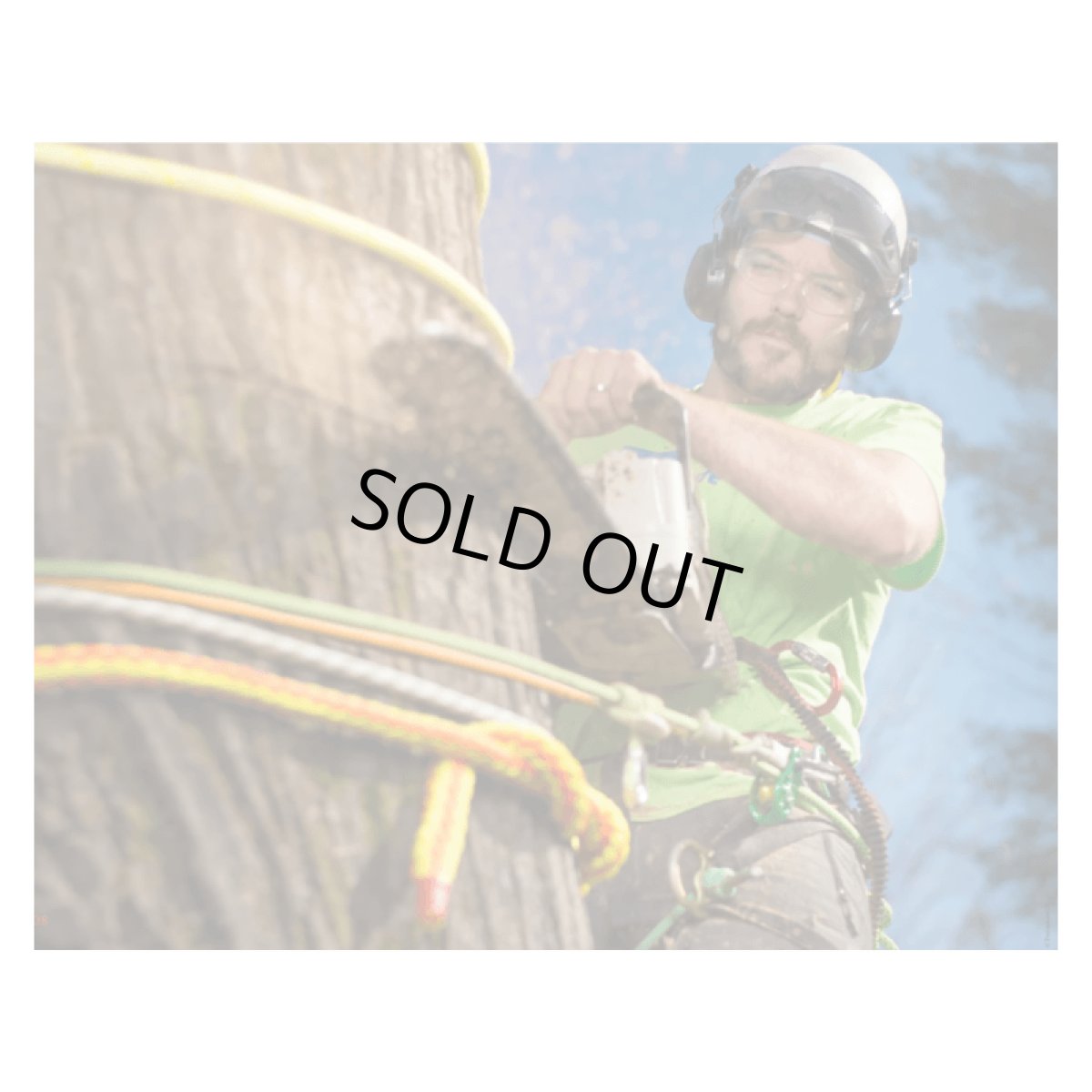 ※画像はイメージです。販売終了モデルや試作品、日本未導入品などが含まれていることがあります。画像内の製品・技術についての問い合わせは承りかねます。