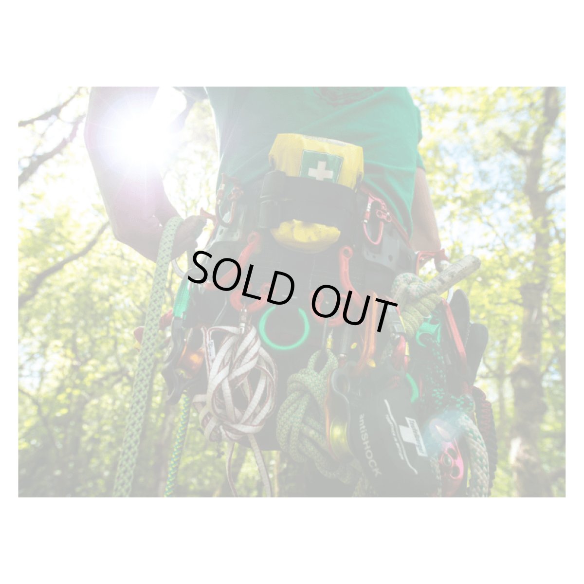 ※画像はイメージです。販売終了モデルや試作品、日本未導入品などが含まれていることがあります。画像内の製品・技術についての問い合わせは承りかねます。