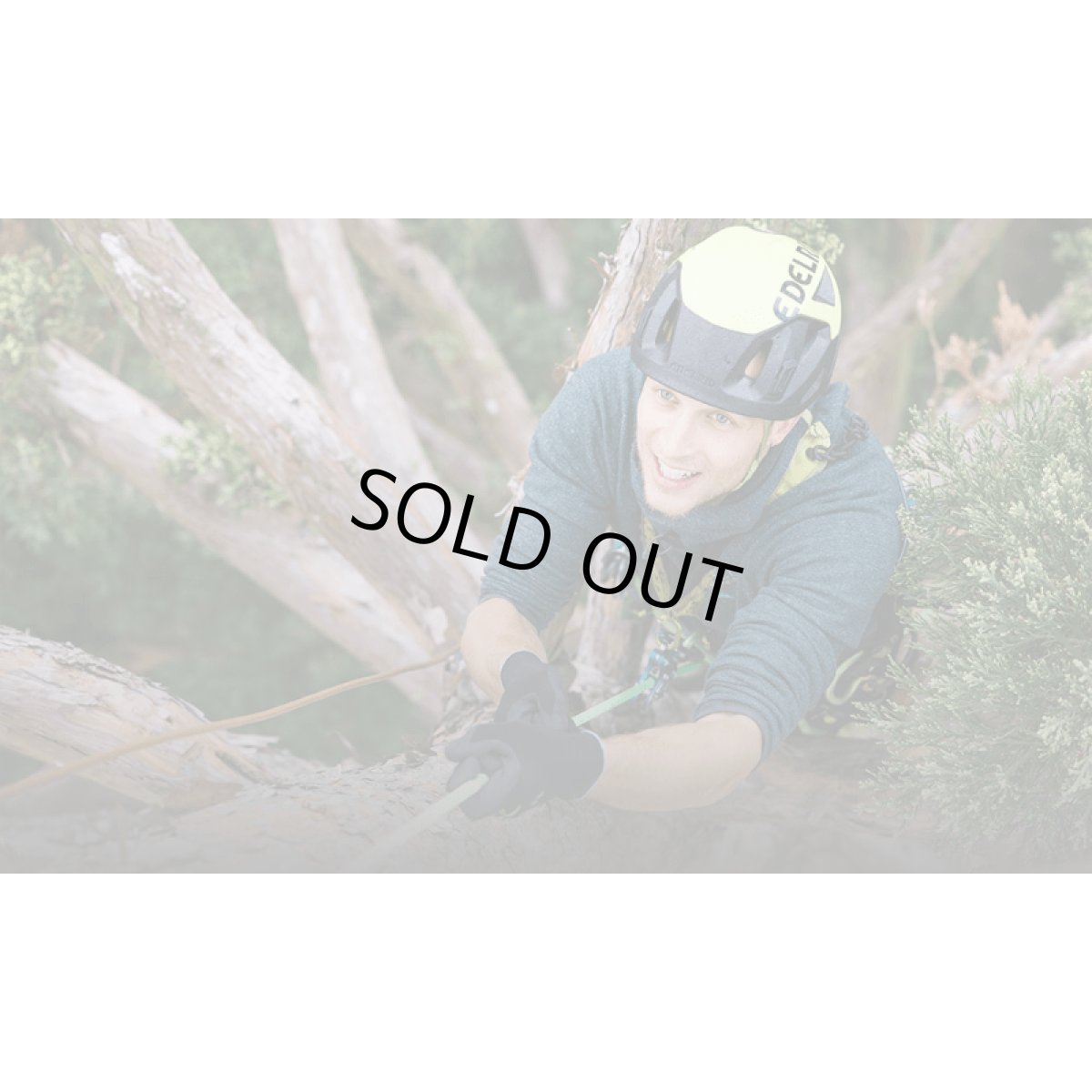 ※画像はイメージです。販売終了モデルや試作品、日本未導入品などが含まれていることがあります。画像内の製品・技術についての問い合わせは承りかねます。