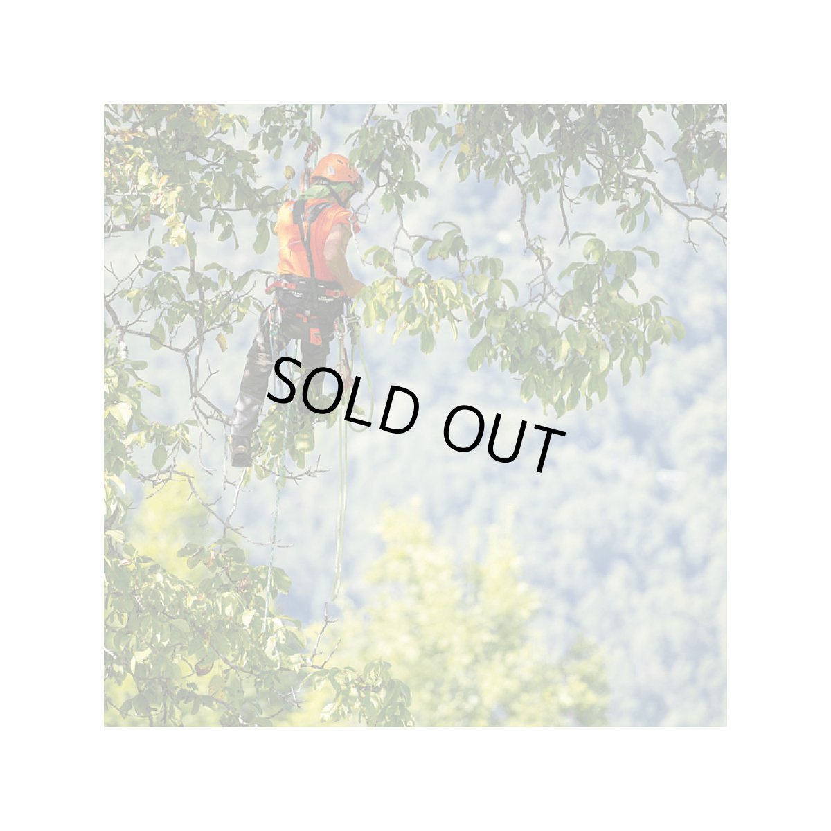 ※画像はイメージです。販売終了モデルや試作品、日本未導入品などが含まれていることがあります。画像内の製品・技術についての問い合わせは承りかねます。