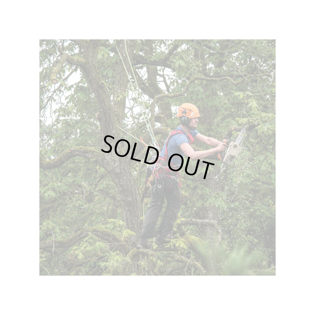 ※画像はイメージです。販売終了モデルや試作品、日本未導入品などが含まれていることがあります。画像内の製品・技術についての問い合わせは承りかねます。