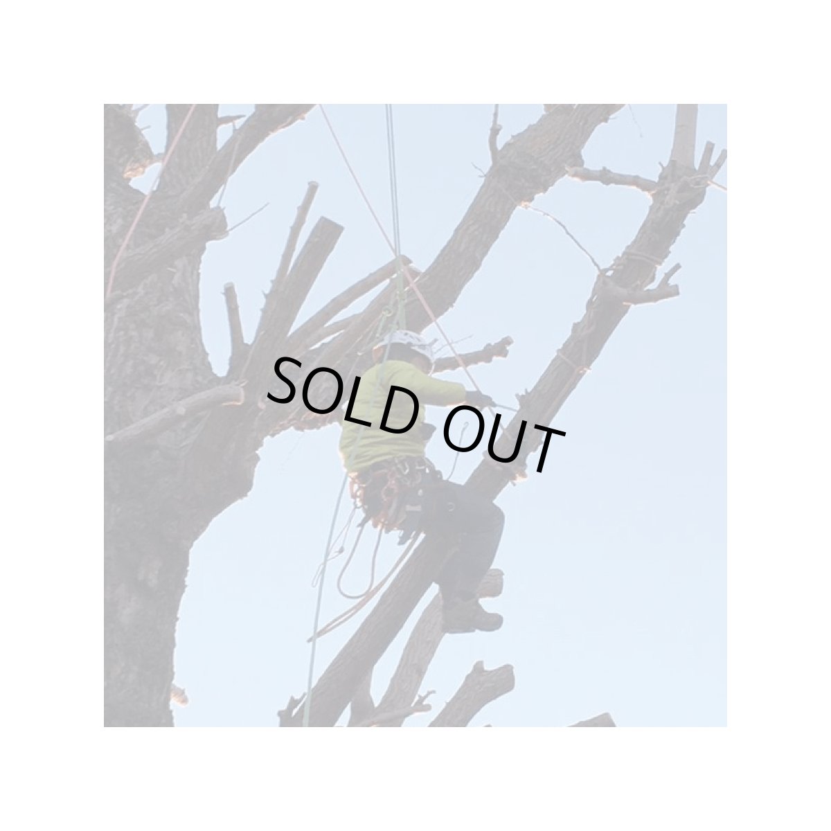 ※画像はイメージです。販売終了モデルや試作品、日本未導入品などが含まれていることがあります。画像内の製品・技術についての問い合わせは承りかねます。