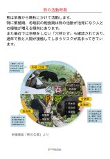 画像7: 【通常在庫品】 Other Brand その他ブランド クマよけスプレー ベアシールド60 【使用期限2031年9月】 国内正規品 (7)