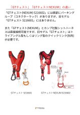 画像6: 【取り寄せ】 C.A.M.P. カンプ GT チェスト 国内正規品 (6)