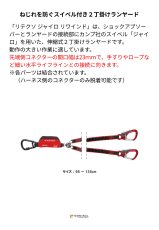 画像2: 【取り寄せ】 C.A.M.P. カンプ リテクソ ジャイロ リワインド + 1176 + 0995×2 (5250202) 国内正規品 (2)