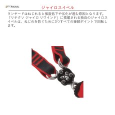 画像5: 【取り寄せ】 C.A.M.P. カンプ リテクソ ジャイロ リワインド + 0981 + 2017×2 (5250201) 国内正規品 (5)