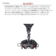 画像5: 【取り寄せ】 C.A.M.P. カンプ アクセス XT ブラック 国内正規品 (5)