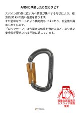DMM Ultra D ディーエムエム ウルトラD ロックセーフ ANSI A337ANSI 概要