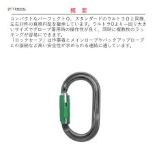 画像2: 【受注発注商品】 DMM ディーエムエム アメリカン O(オー) ロックセーフ 国内正規品 (2)