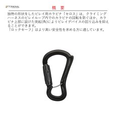 画像2: 【受注発注商品】 DMM ディーエムエム セロス ロックセーフ マットグレー 国内正規品 (2)