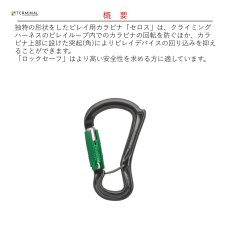 画像2: 【受注発注商品】 DMM ディーエムエム セロス ロックセーフ 国内正規品 (2)