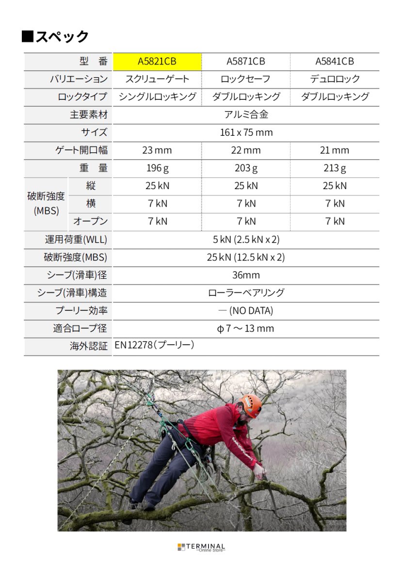 DMM Revolver Rig ディーエムエム リボルバー リグ スクリューゲート A5821CB