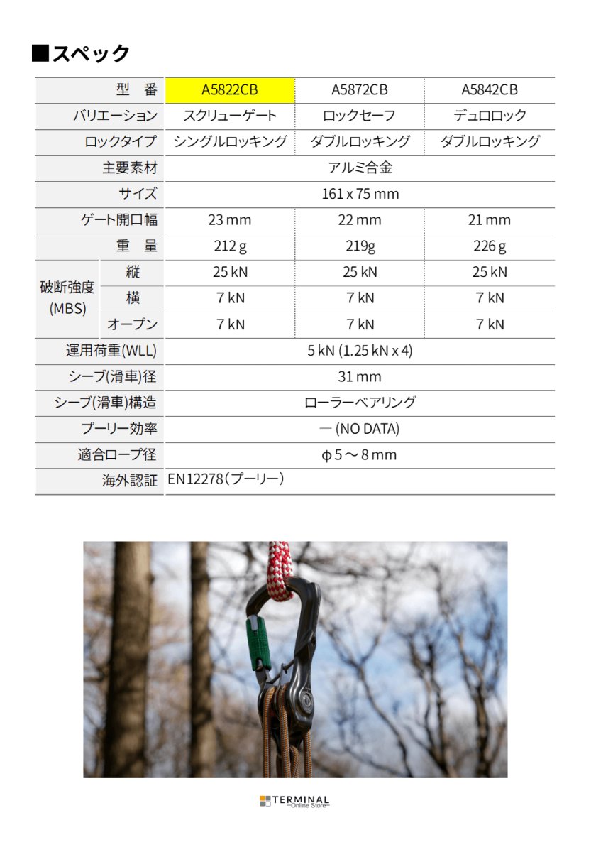 DMM Revolver Rig Twin ディーエムエム リボルバー リグツイン スクリューゲート A5822CB