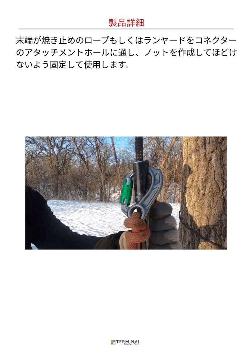 DMM Director Captive Eye ディーエムエム ディレクター キャプティブアイ スクリューゲート A652