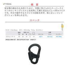 画像2: 【受注発注商品】 DMM ディーエムエム ビレイマスター マットグレー 国内正規品 (2)