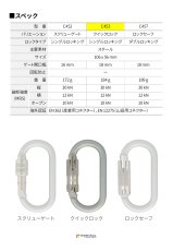 DMM Steel Oval 10 ディーエムエム スチール オーバル 10 クイックロック C453