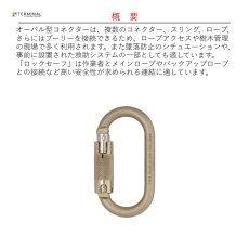 画像2: 【受注発注商品】 DMM ディーエムエム スチール オーバル 10 ロックセーフ 国内正規品 (2)