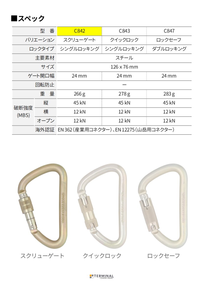DMM Steel Klettersteig ディーエムエム スチール クレッタースタイグ スクリューゲート C842
