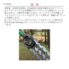 画像2: 【受注発注商品】 DMM ディーエムエム ジャイロツインプーリー 国内正規品 (2)
