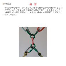 画像2: 【受注発注商品】 DMM ディーエムエム アンカーリング 内径34 mm 国内正規品 (2)