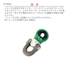 画像2: 【受注発注商品】 DMM ディーエムエム フォーカス D 国内正規品 (2)