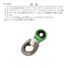 画像2: 【受注発注商品】 DMM ディーエムエム フォーカス Bow 国内正規品 (2)