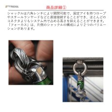 画像4: 【受注発注商品】 DMM ディーエムエム フォーカス Bow 国内正規品 (4)