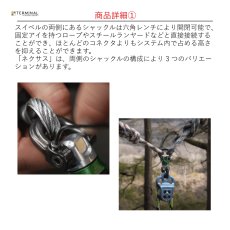 画像4: 【受注発注商品】 DMM ディーエムエム ネクサス 1（Bow to D） 国内正規品 (4)