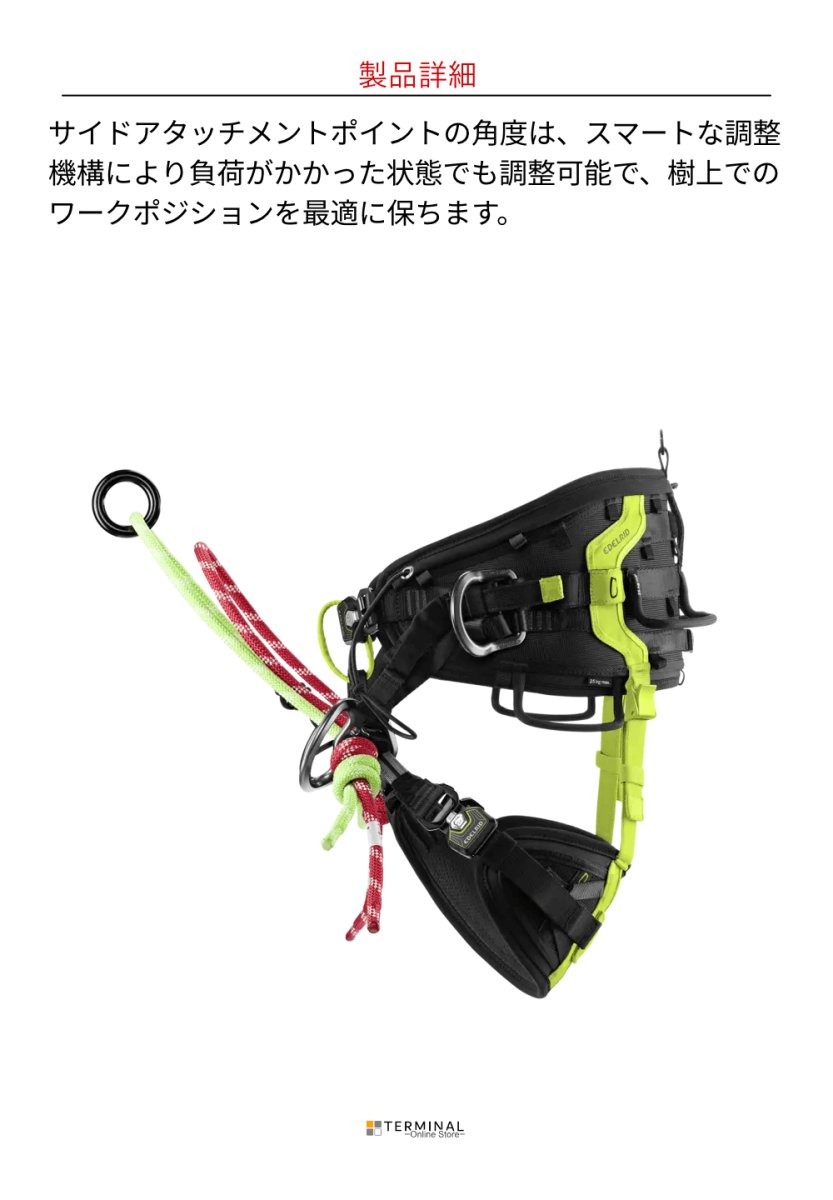 EDELRID TREEREX 2 エーデルリッド ツリーレックス 2 82025.1
