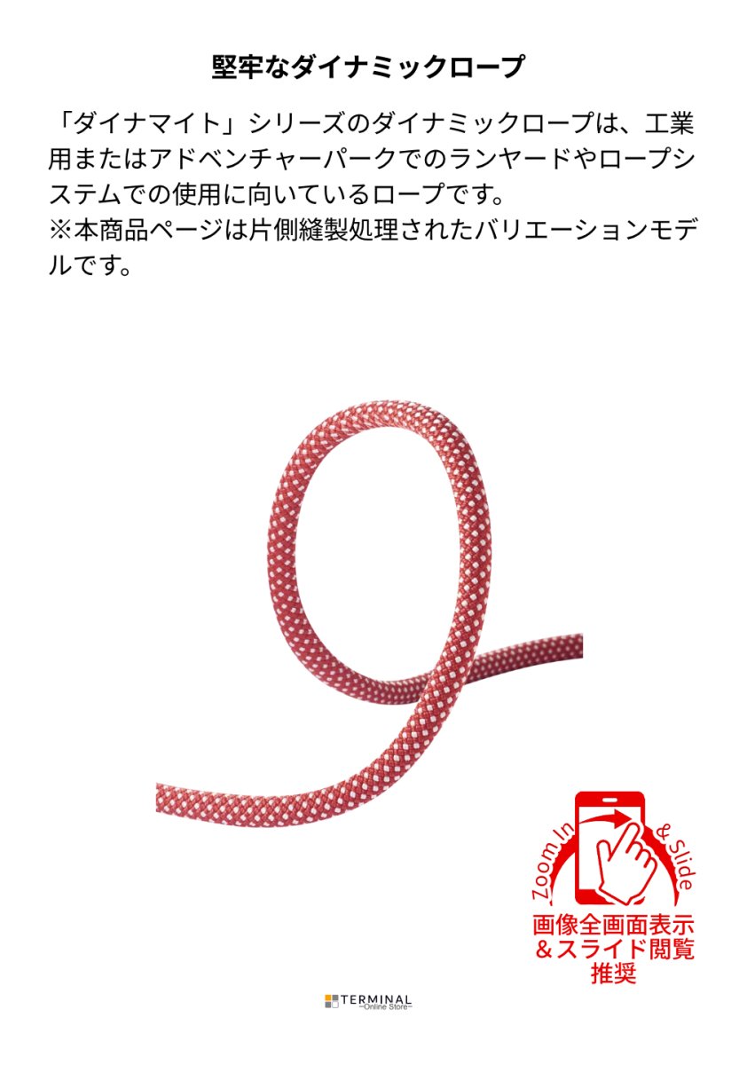 EDELRID DYNAMITE エーデルリッド ダイナマイト 11 mm 1アイ 83824.50m_red 概要