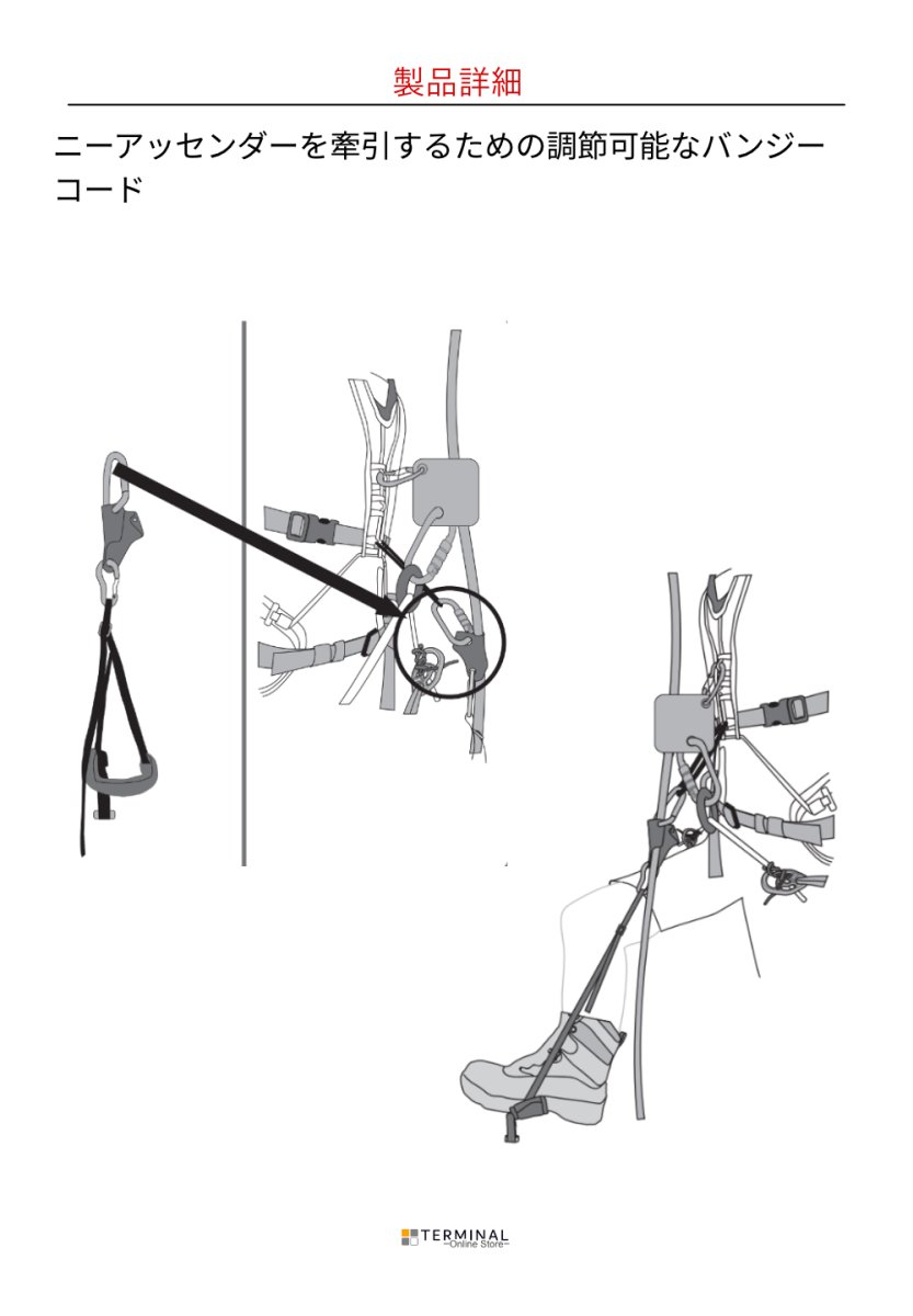 EDELRID TREEREX BUNGEECHEST エーデルリッド ツリーレックス バンジーチェスト 88712