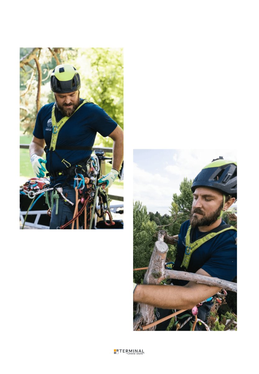 EDELRID TREEREX BUNGEECHEST エーデルリッド ツリーレックス バンジーチェスト 88712