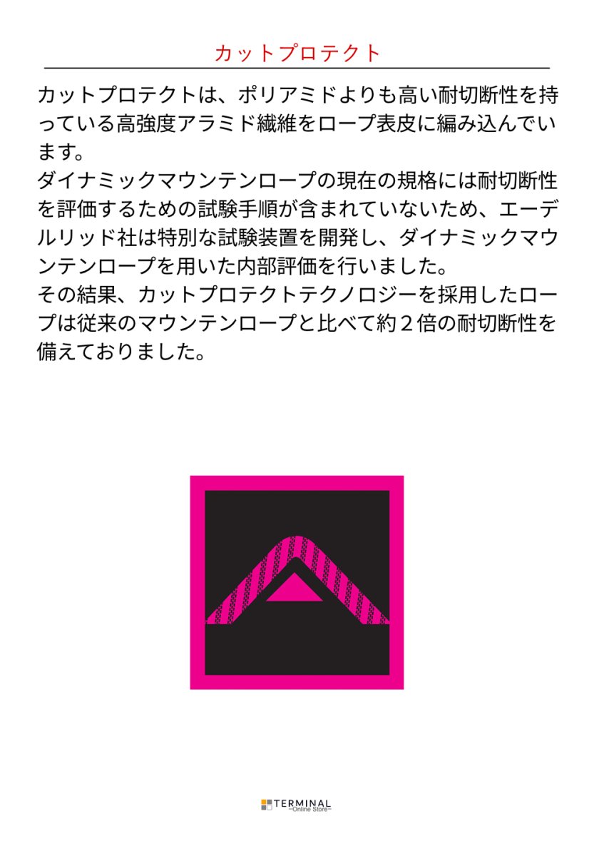 画像6: 【取り寄せ】 EDELRID エーデルリッド インタースタティック プロテクト 11 mm 国内正規品 (6)