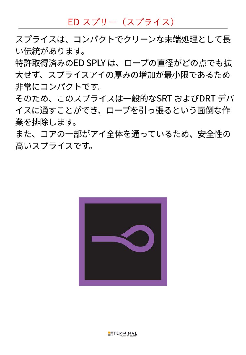 画像6: 【受注発注商品】 EDELRID エーデルリッド ジャカマー 12.6mm １アイ 国内正規品 (6)