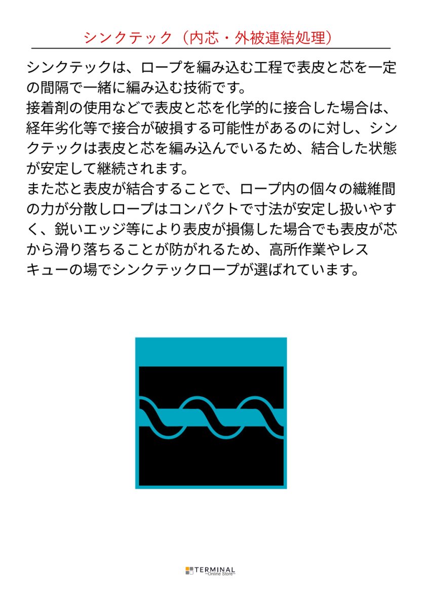 画像5: 【取り寄せ】 EDELRID エーデルリッド インタースタティック プロテクト 11 mm 国内正規品 (5)