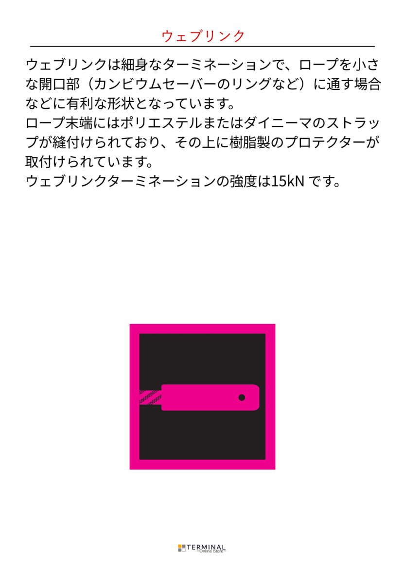画像5: 【受注発注商品】 EDELRID エーデルリッド ウッドペッカー 11.7mm ウェブリンク 国内正規品 (5)