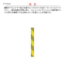 画像2: 【受注発注商品】 edelweiss エーデルワイス セミスタティックロープ スーパーエバードライ 11 mm 国内正規品 (2)