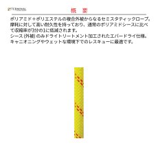 画像2: 【受注発注商品】 edelweiss エーデルワイス キャニオンロープ エバードライ 10 mm 国内正規品 (2)