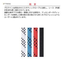 画像2: 【受注発注商品】 edelweiss エーデルワイス プロライン 11 mm 国内正規品 (2)